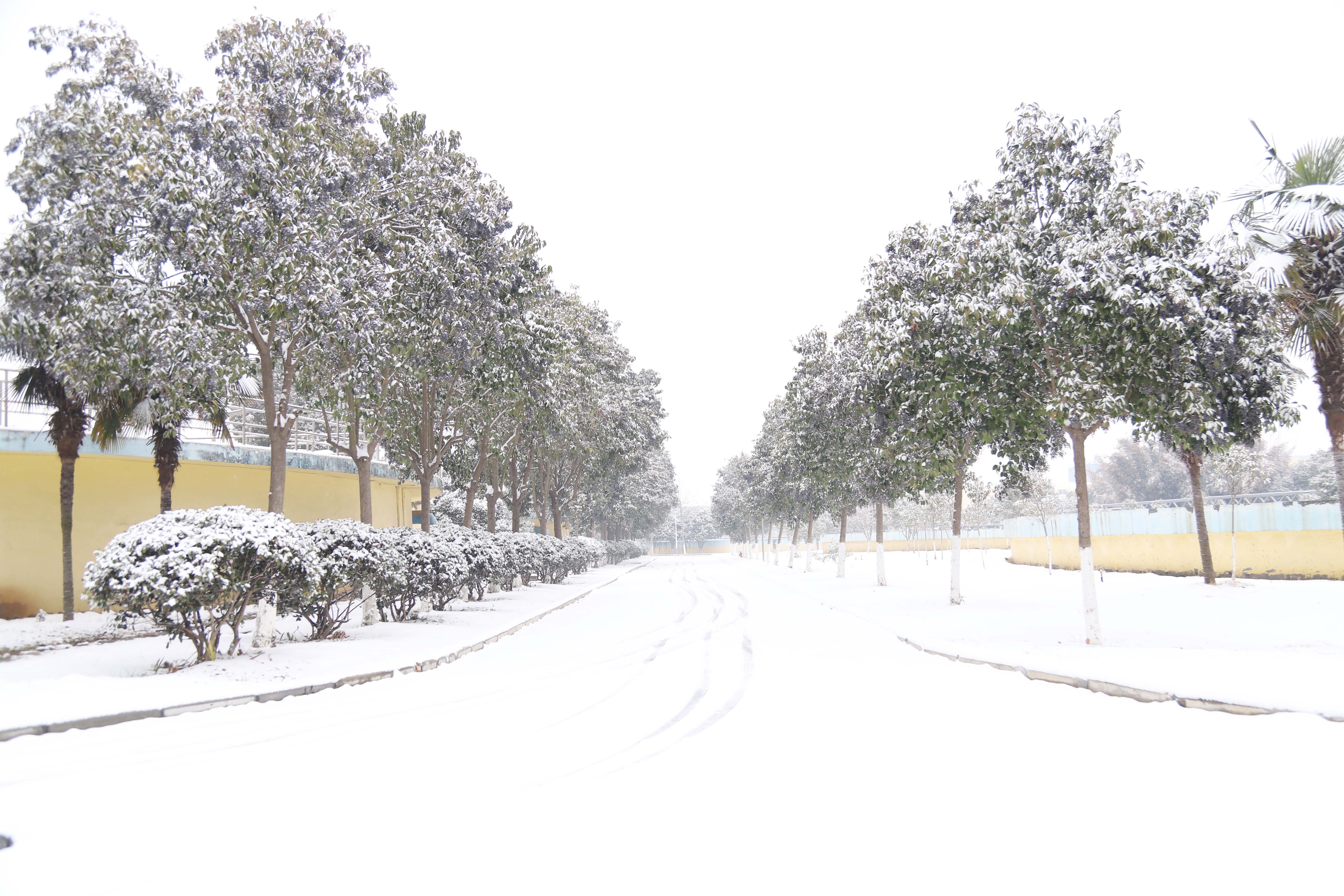 ������ʱ�������ǲ���(�й���)�ٷ���վ