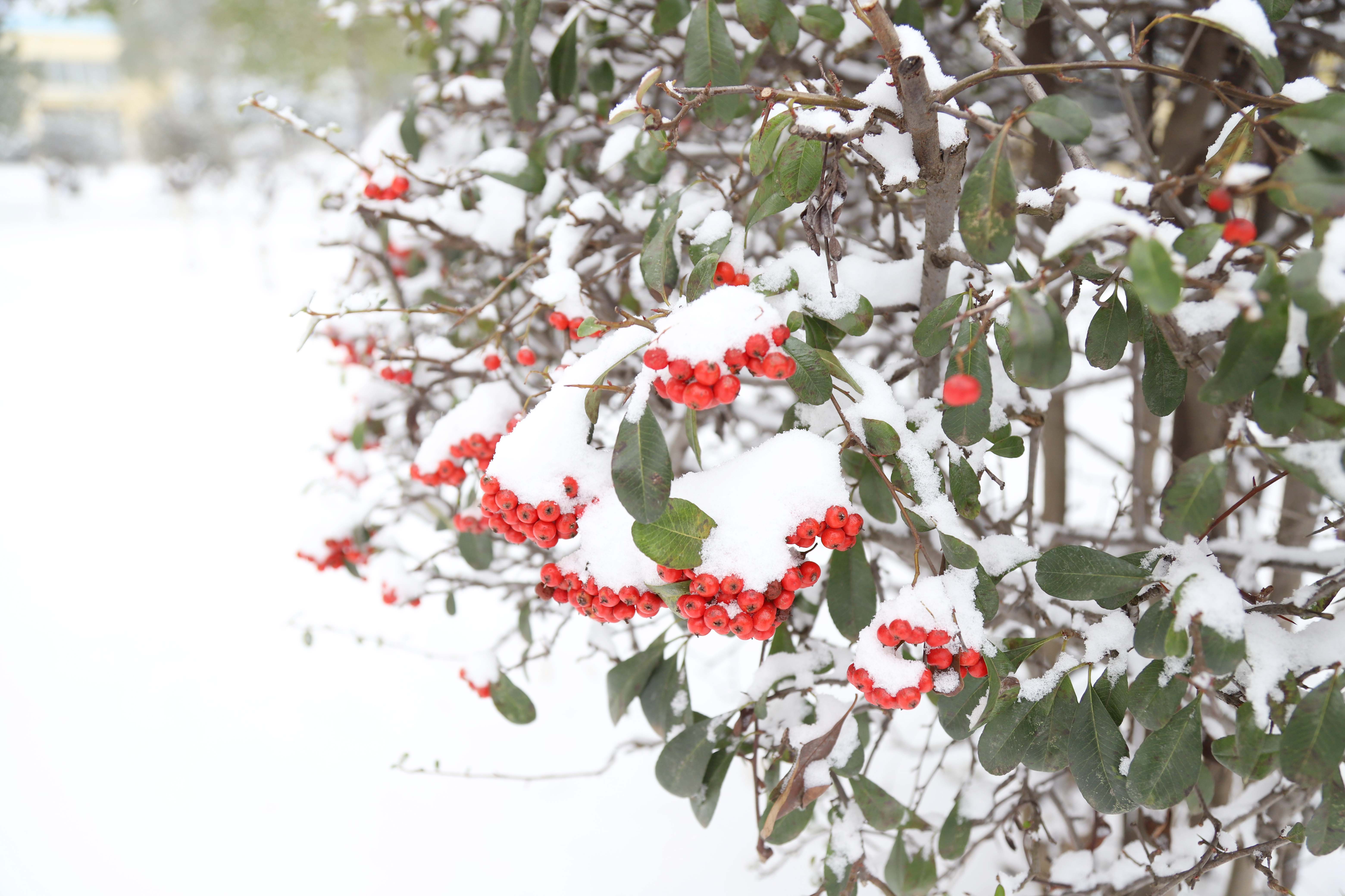 ������ʱ�������ǲ���(�й���)�ٷ���վ